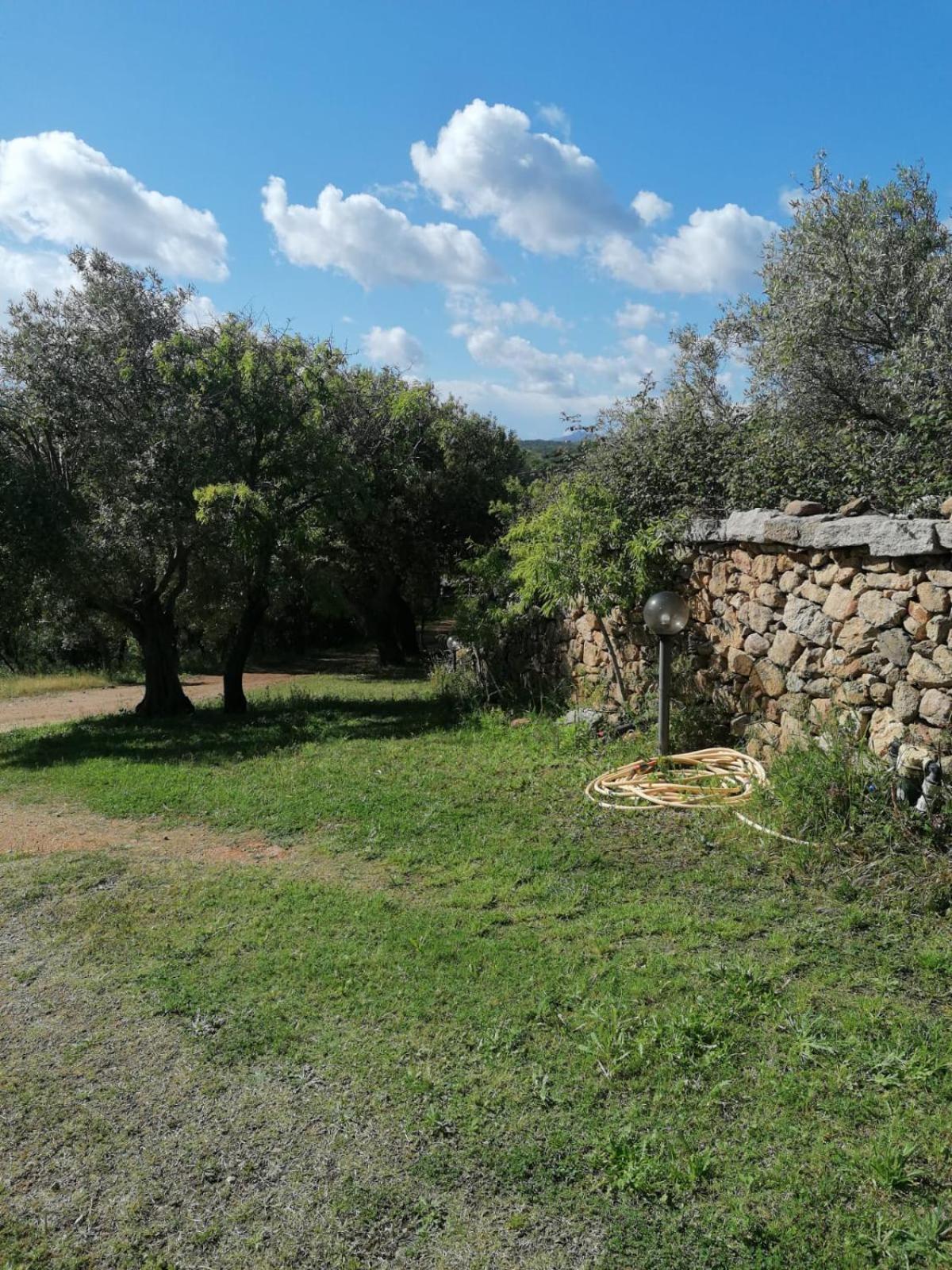 Casa Orecchioni Arzachena Kültér fotó